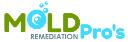 Mold Remediation Pros St Louis logo
